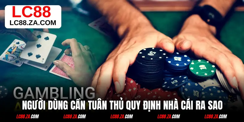 Người dùng cần tuân thủ quy định nhà cái ra sao